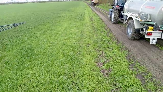 ТУМАН 3 первая химобработка 2025 году состояние пшеницы