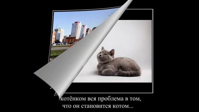 Демотиваторы для хорошего настроения. смотреть онлайн