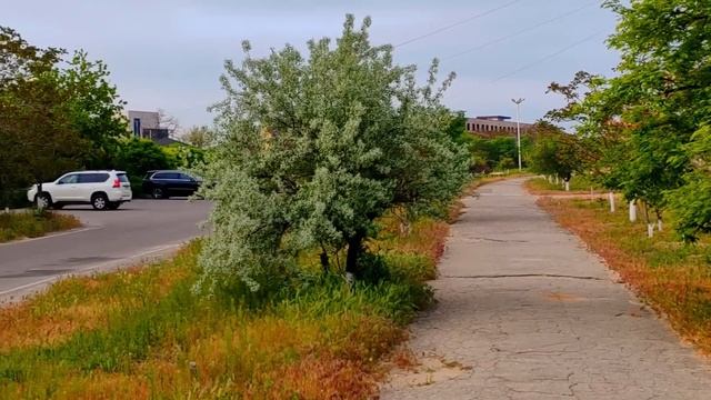 ОПЯТЬ ПРОСНУЛАСЬ НЕ В ПАРИЖЕ - Клипы для Души ТОП-10 Music V смотреть онлайн