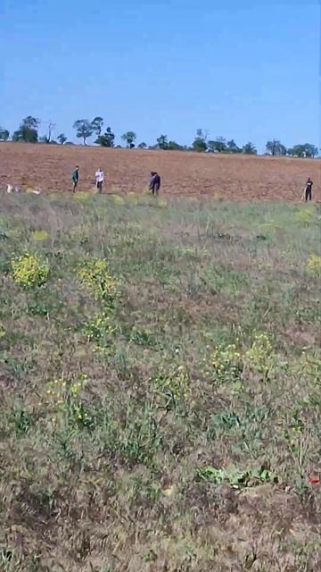 Подготовка к проливке и посадке растений. смотреть онлайн