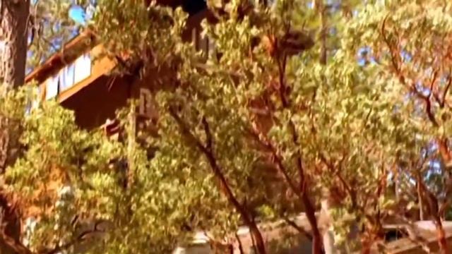 Компания пердакшен мувис представляет тапок смотреть онлайн