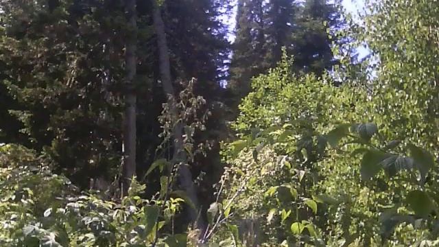 Село Коробиха смотреть онлайн