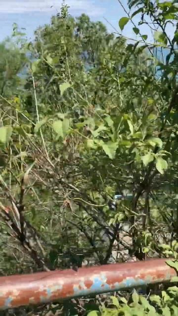 Сплошное огорчение! Разрушен спуск к морю из Санатори?