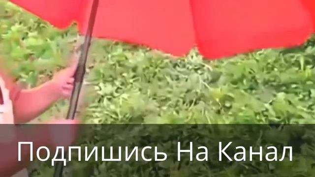 Самые свежие приколы Best comedy №1 2016 смотреть онлайн