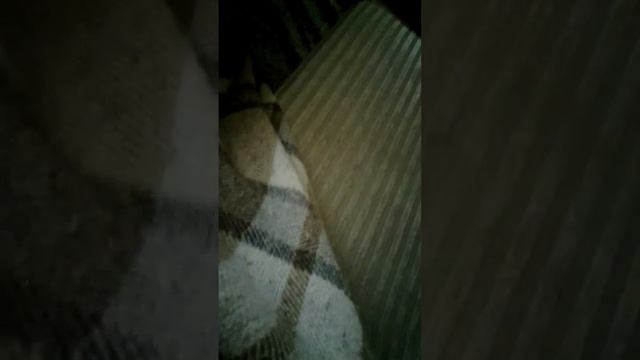 привет пацаны смотреть онлайн