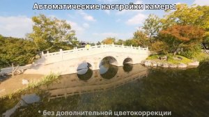 Настройки камеры для DJI Avata 2. Советы по съемке. Парамет?