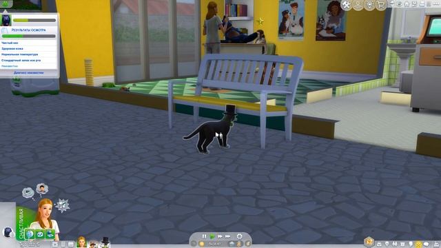 Фикус |The Sims 4| #8 Кот-Енот | Bloom Legacy Challenge