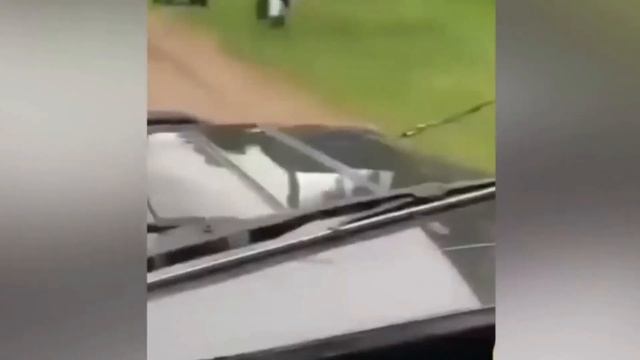 ПОПРОБУЙ НЕ РАССМЕЯТЬСЯ 1 ПОДБОРКА ЗАБАВНЫХ МОМЕНТОВ СМЕШНЫЕ ВИДЕО 2024 #ПРИКОЛЫ #юмор #видео2024 смотреть онлайн