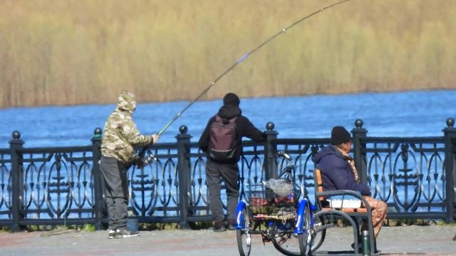 Теплоход по доставке пирогов