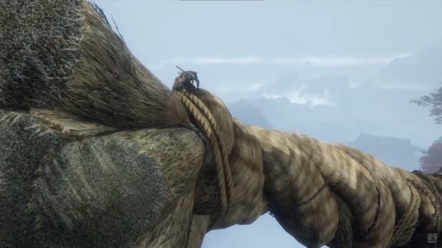 Sekiro: Shadows Die Twice/Обзор или Сюжет не Вкратце