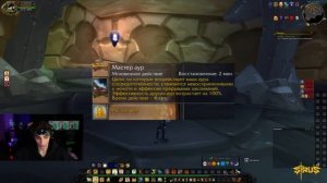 ЛУЧШИЙ ГАЙД НА ХОЛИ ПАЛА WOW SIRUS