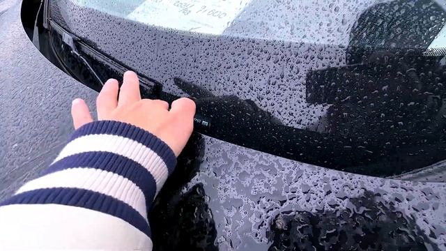 ЦЕНЫ НА АВТОРЫНКЕ В ГРУЗИИ 11 АПРЕЛЯ! ЧТО КУПИТЬ ДЕШЕВЛ?