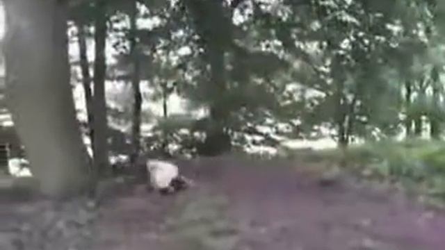 Только Лучшее Приколы Смех До Слез Смешное Видео С Людьми! смотреть онлайн