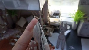 распаковка посылок для бумажных собак