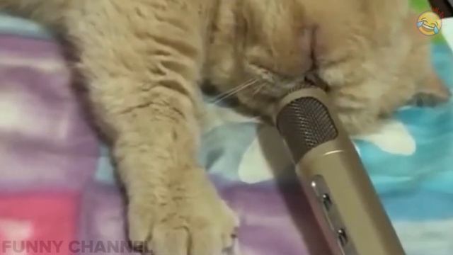 ПОДБОРКА ПРИКОЛОВ МАЙ СМЕШНЫЕ ВИДЕО 2019 ЛУЧШИЕ ПРИКОЛЫ ржака угар жесть ржач ржака до слез #113 смотреть онлайн