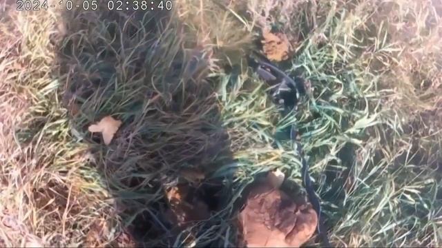 Коп металла. Металлокоп с квест 5. Коп на мопеде. Металл смотреть онлайн