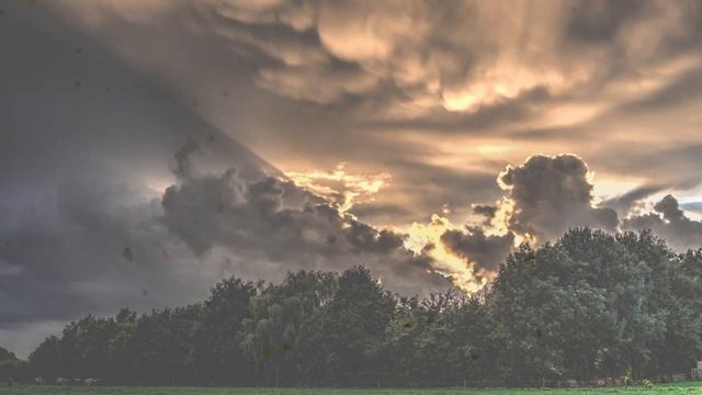 Услышав вопрос регистратора жениху в ЗАГСе, все гости смотреть онлайн