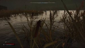 Где раздобыть костюм с высокой пси защитой бесплатно,