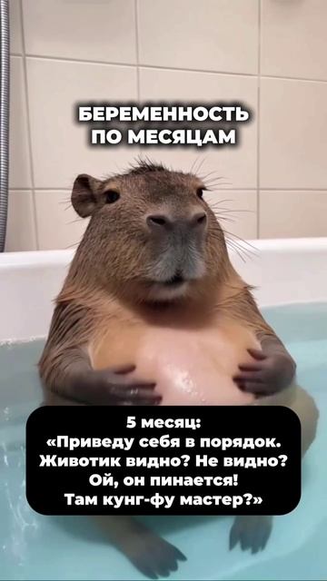 Беременность по месяцам