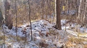 В поисках золотых самородков