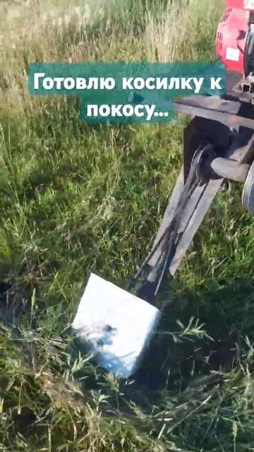 проверяю мотоблок с сегментной косилкой перед начало? смотреть онлайн