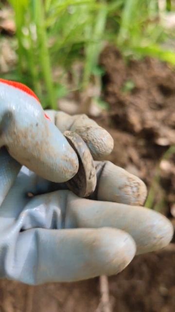 Профессиональный металлоискатель находит отличные н? смотреть онлайн