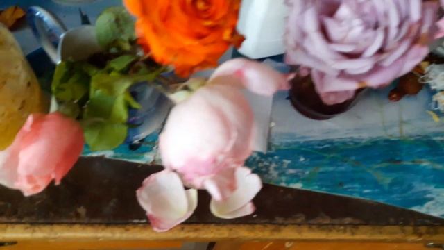 Сирень цветет ...грибы растут в ноябре смотреть онлайн