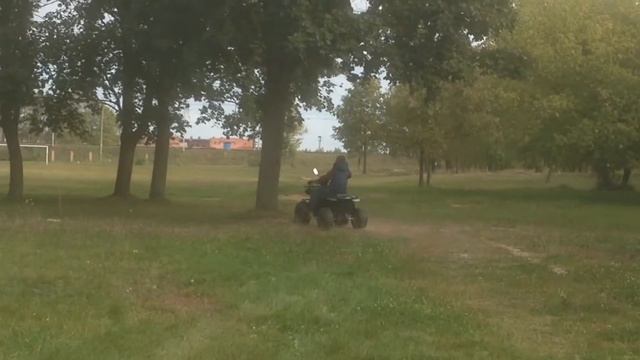 Прикол На Всей скорости в дерево!!!😱😱😱 смотреть онлайн