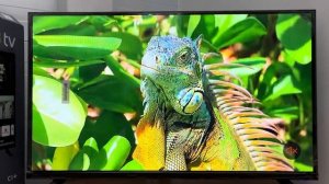 Обзор на смарт телевизор 35’’ Plus TV QN900