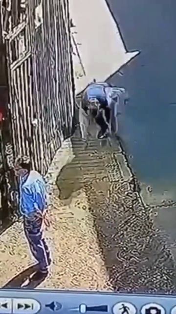 Если бы не заснял, Никто бы не поверил )) #тимартдан #приколы смотреть онлайн