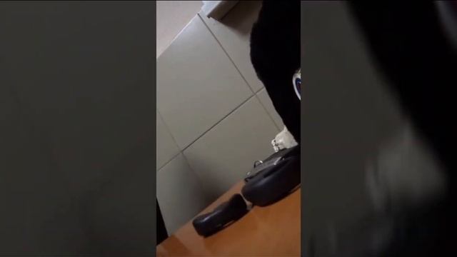 ТЕСТ НА ПСИКИКУ 2018 ПОПРОБУЙ НЕ ЗАСМЕЯТЬСЯ. АВТО ЮМОР. смотреть онлайн