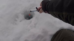 Как правильно пользоваться отцепом зимой.