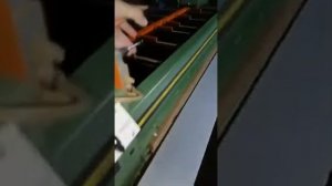 Фурнирная пила LZ 4 3050 LANGZAUNER видео