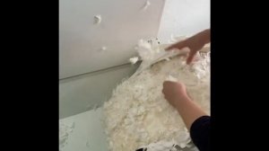 Чистка пуховых подушек.