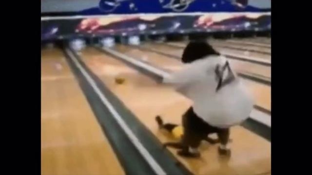 ПРИКОЛЬНЫЕ МЕМЫ С ОЗВУЧКОЙ смотреть онлайн