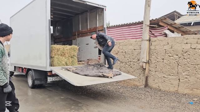 ВАДА КИЛИНГАНИДЕК ФАЗЛИДДИН АКАМБИЛАН БИРГАЛИКДА ТОЙ