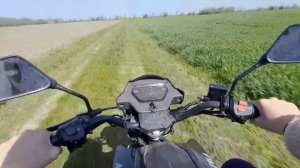 ПОКАТУШКА НА АЛЬФЕ/RS 12 CHAMP 🥵🚔