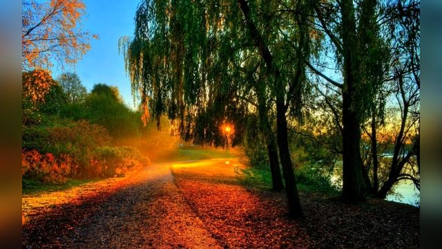 Надежда Капошко Я пришлю тебе осень ...  читает Любовь Б