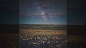 Сергей Есенин — Певущий зов (вар2)