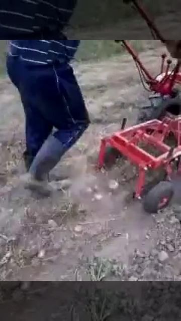 Картофелекопалка КФТ-2 для мотоблока МТЗ смотреть онлайн