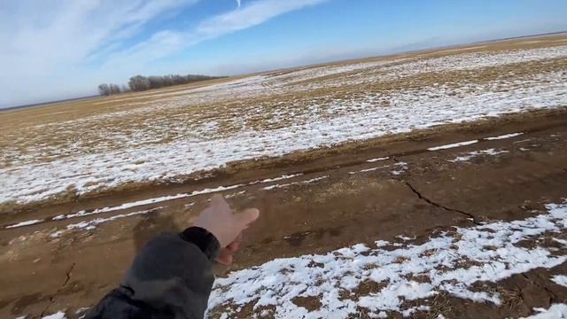 10.02.23.. озимая пшеница 🌾 смотреть онлайн