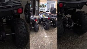 Самые востребованные квадроциклы Hammer Mikilon 200l pro и Mikilon 2