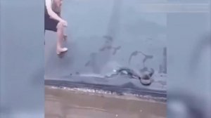 😂 Жесткие приколы над ЛЮДЬМИ #испугилюдей #приколы2024