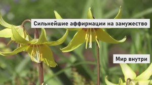 СИЛЬНЕЙШИЕ АФФИРМАЦИИ на замужество | Луиза Хей | Просто слушай и выйдешь замуж в 2025 году!