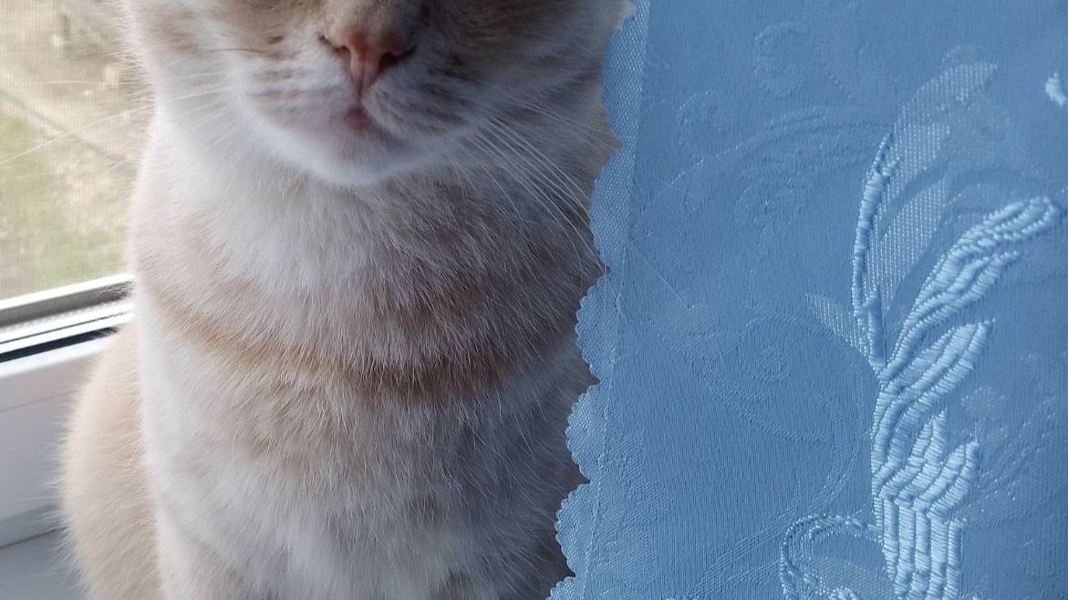 Влог Высаживаю цветочную рассаду Сходила в гости к соседке сняла красоты готов вязаный полотенчик смотреть онлайн