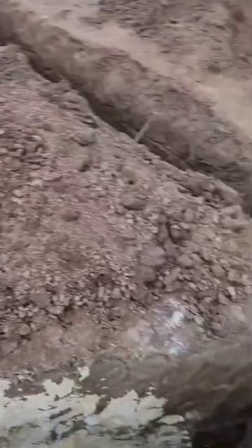 Земельные работы для композитного бассейна. Начало положено.