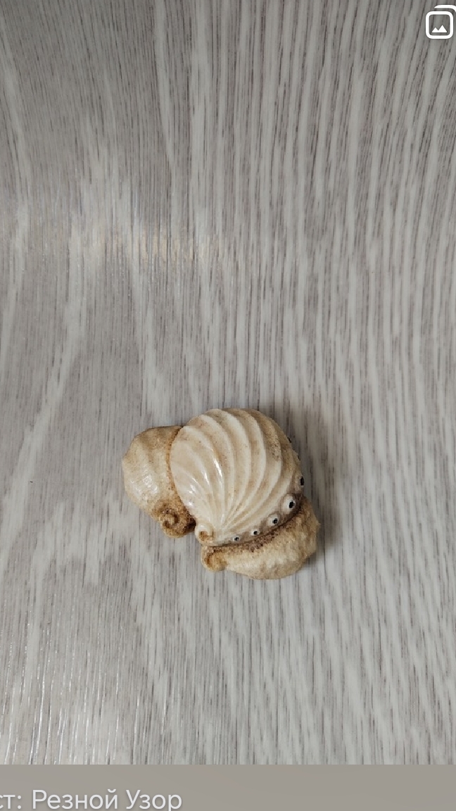 Нэцкэ. Ракушки.