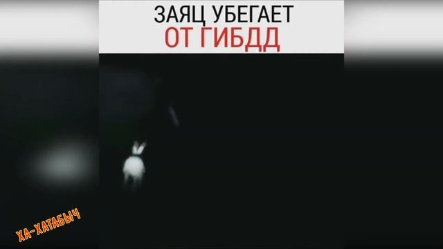 Супер Приколы подборка. СМОТРЕТЬ ВСЕМ!!!!! смотреть онлайн