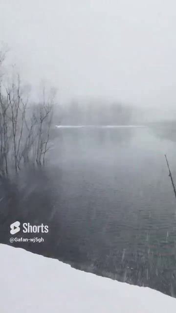 лето на Ямале июнь 2024