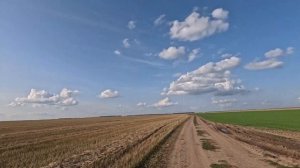 Хаммер микилон 200 и шармакс Хаммер 300